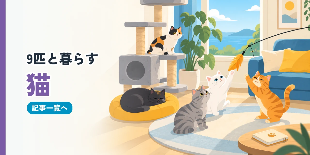 猫の記事一覧へ