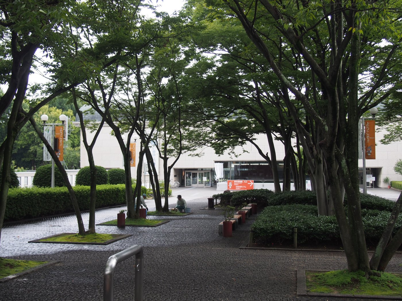 大仙公園の並木道と堺市博物館の入口（2015年9月）