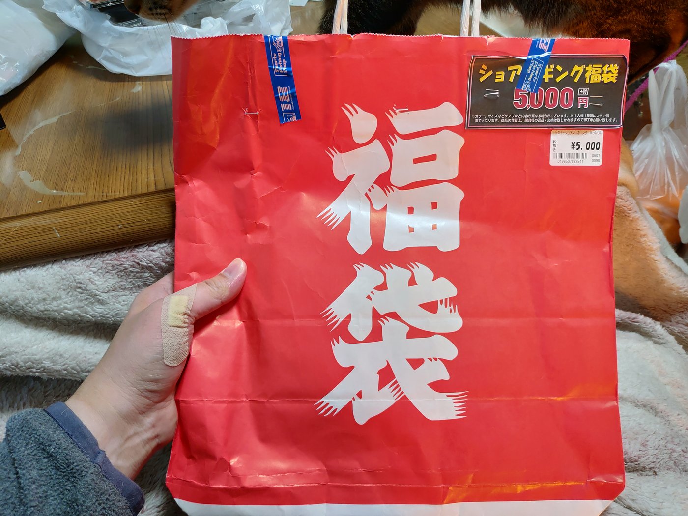 フィッシングショーOSAKA2019の即売会で買ったショアジギングの福袋
