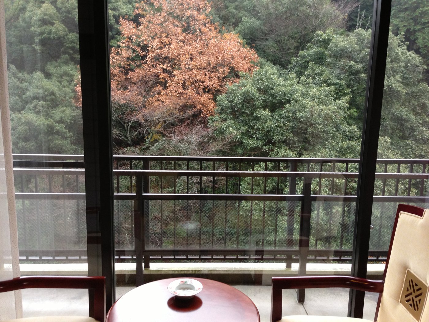 紀泉閣の部屋の窓から見た渓谷（2012年12月）