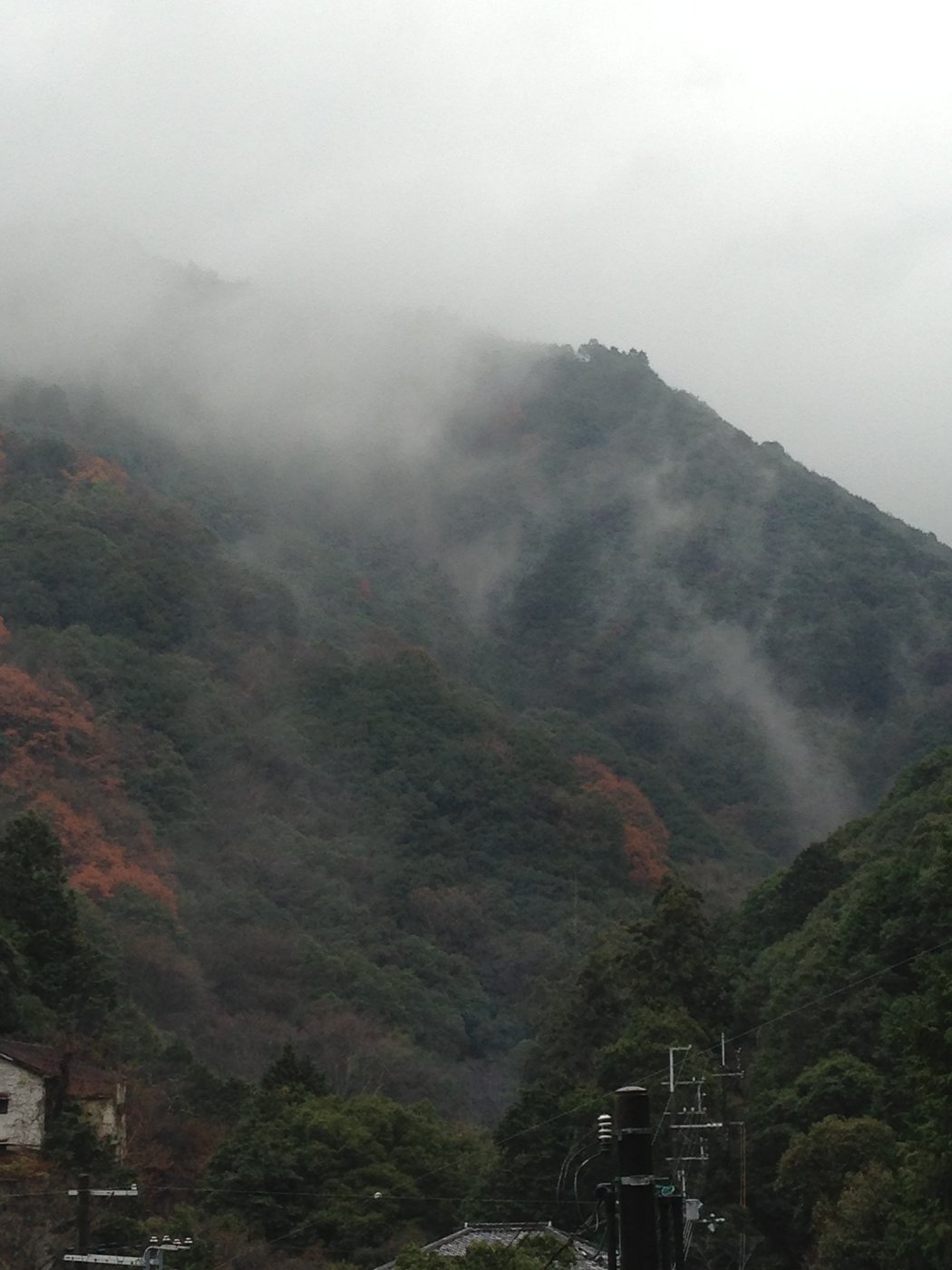 霧がかかった犬鳴山の山（2012年12月）
