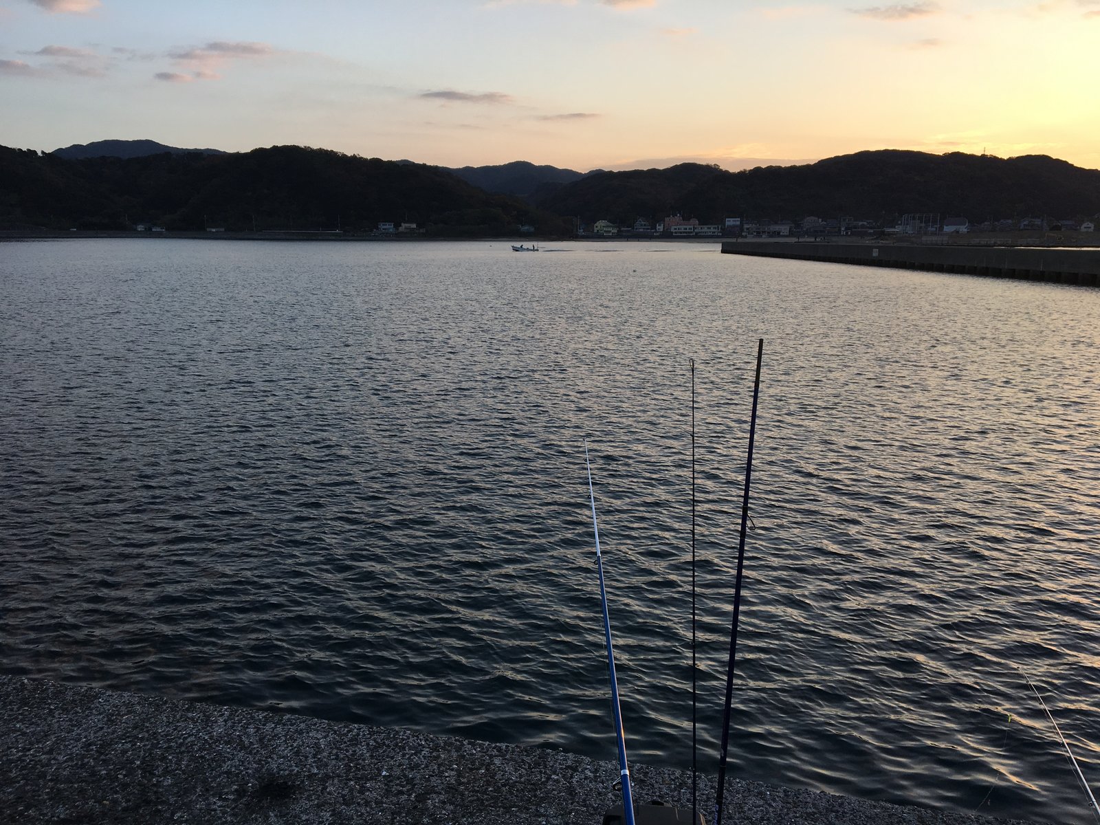 加太の大波止の内側に並べた竿