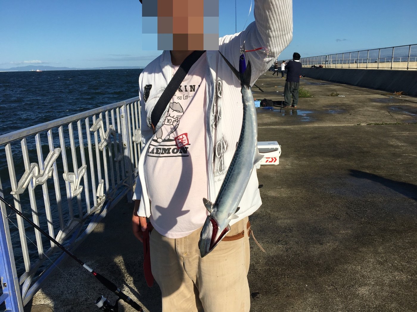 貝塚人工島で釣ったサゴシ