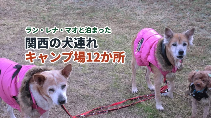 関西の犬連れキャンプ場12か所(おそろいの服を着たレナ・ラン・マオ)