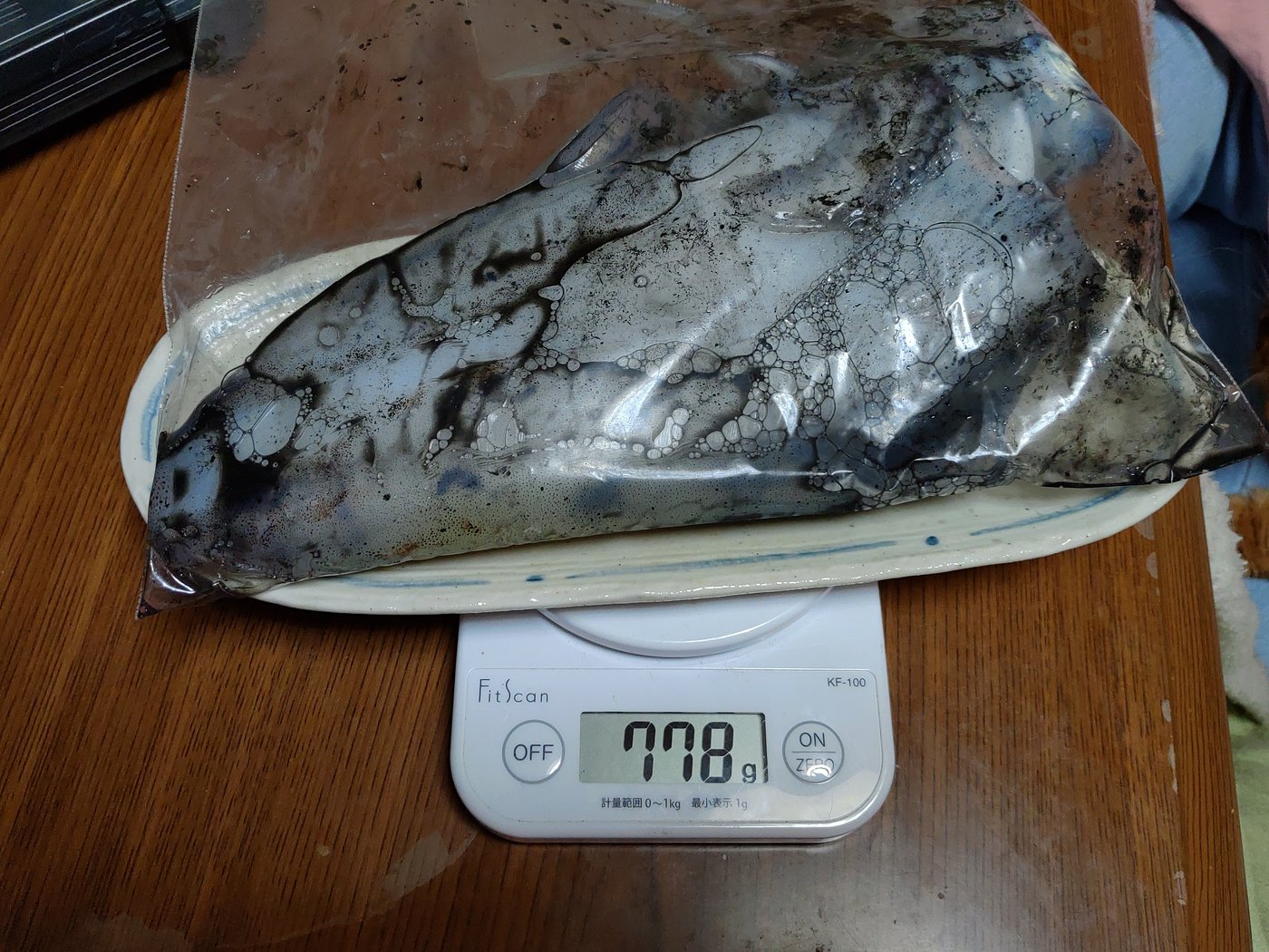 はかりにのせたアオリイカ 778g