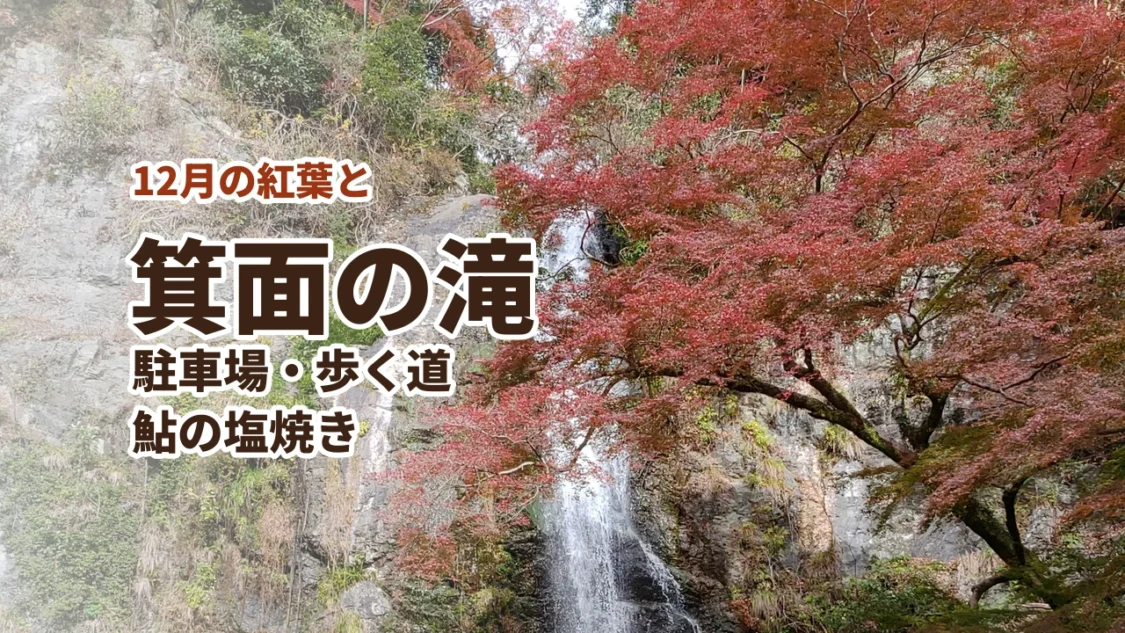 赤いもみじと箕面大滝